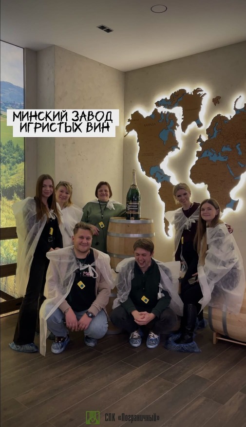 Игристые вины